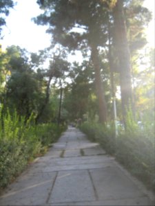 Sidewalk of Shariati ave 4. - Nishapur