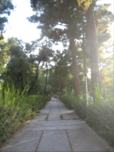 Sidewalk of Shariati ave 5. - Nishapur
