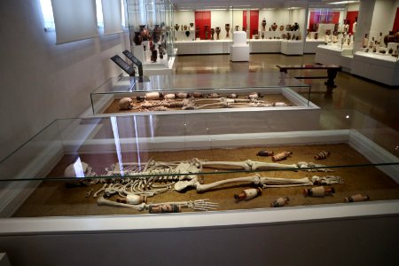 Side view of skeletons found in Kerameikos, 7 May 2018