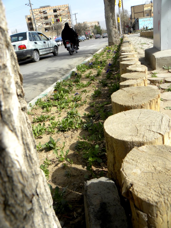 Sidewalk,Wooden pavement,Flowers 04