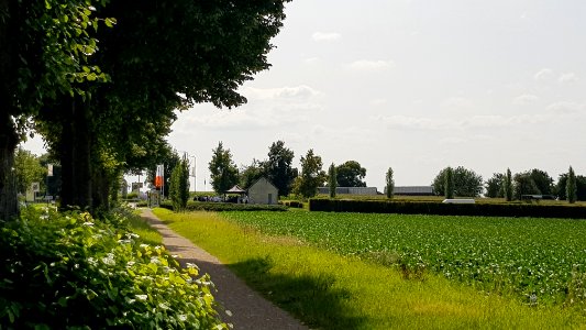 Sibbe-ingang Sibbergroeve aan Daalhemerweg (1)