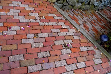 Sidewalk - Arlington, MA - DSC00494