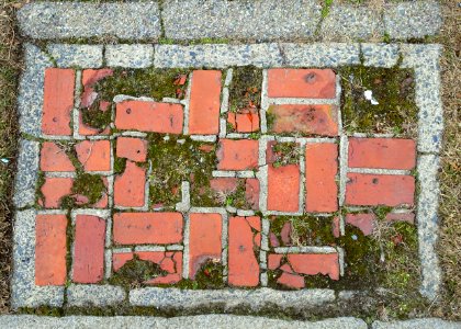 Sidewalk - Arlington, MA - DSC08273