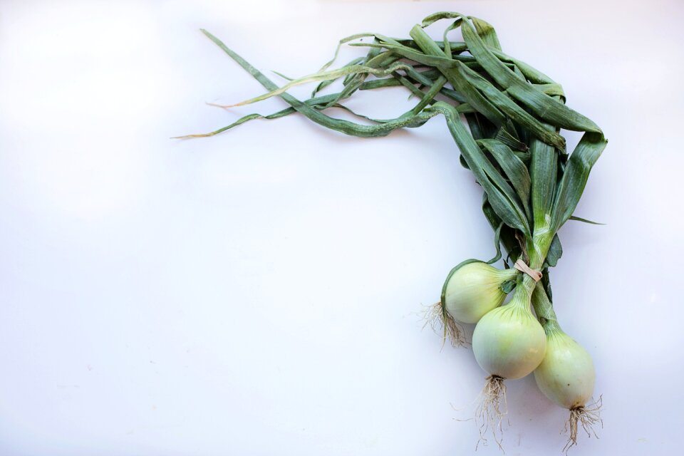 Fresh diet vegetarian