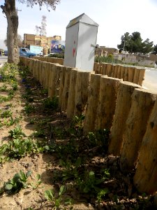 Sidewalk,Wooden pavement,Flowers 05