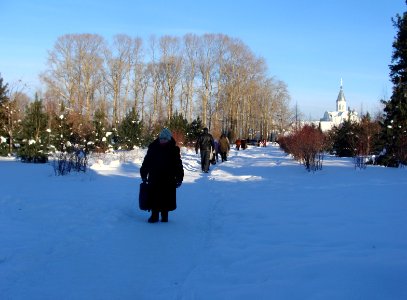 Siberian Pine grove Koryazhma (09)