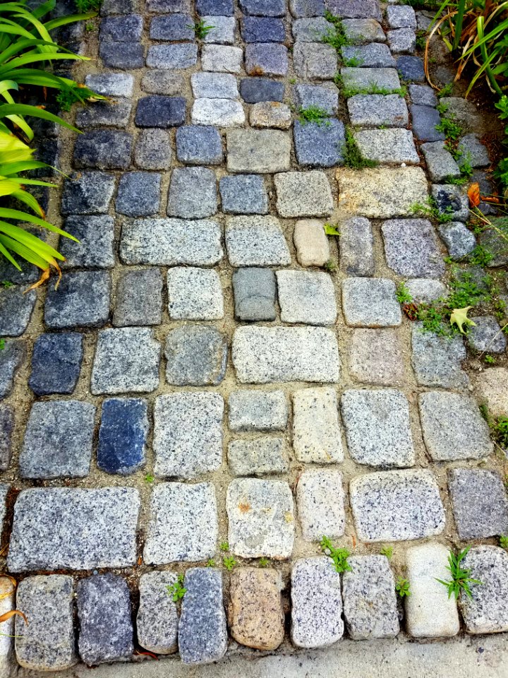 Sidewalk - Arlington, MA - 20200727 085848