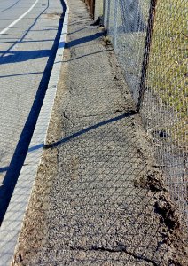 Sidewalk - Arlington, MA - DSC08581