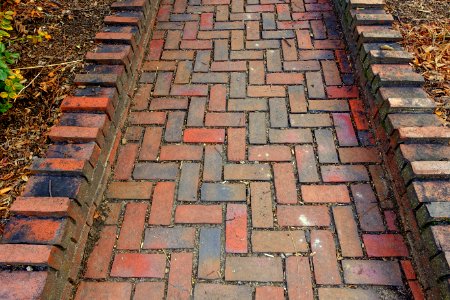 Sidewalk - Arlington, MA - DSC06313