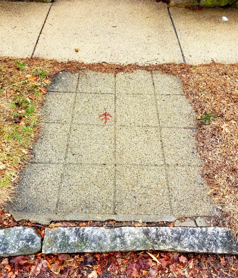 Sidewalk - Arlington, MA - 20200320 110721