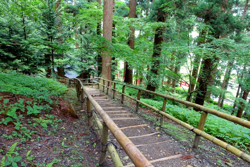 Side path at Tsukimizaka Slope - Chusonji, Hiraizumi, Iwate - DSC04696