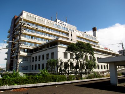 Showa University Fujigaoka Hospital