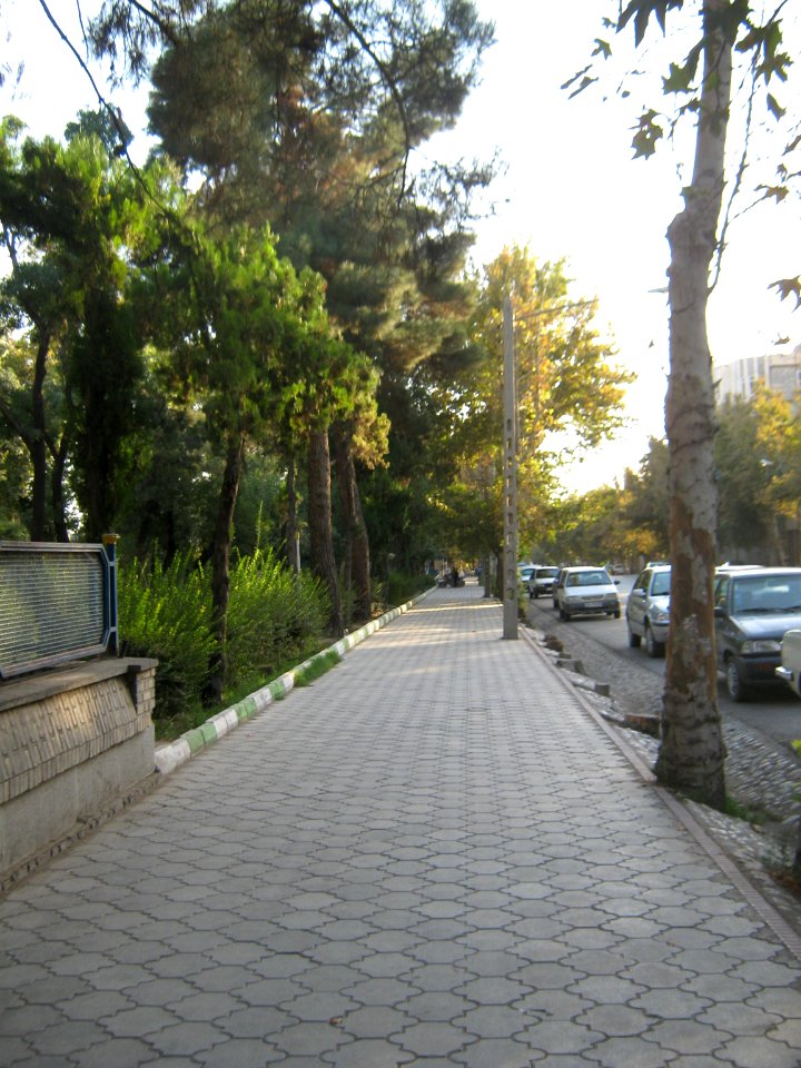 Sidewalk of Shariati ave 6. - Nishapur