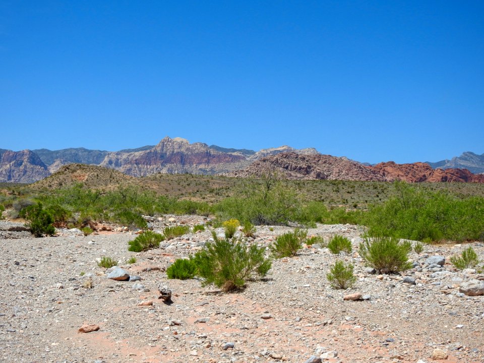 Shoulder of Red Rock Wash in Red Rock Canyon NCA