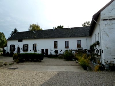 Sibbe-Klein Linde 2 (2)