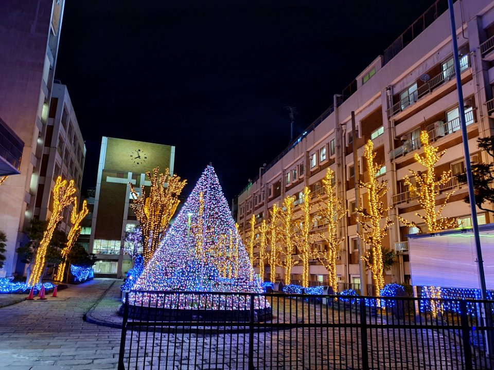 Showa University
