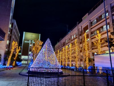 Showa University