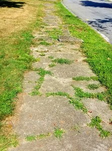 Sidewalk - Arlington, MA - 20200809 094540