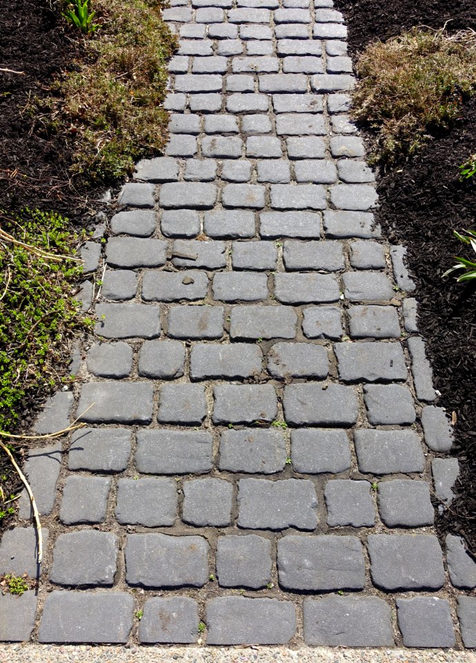 Sidewalk - Arlington, MA - DSC09337