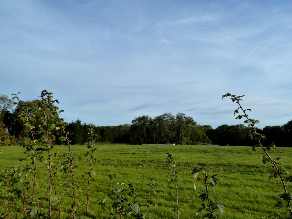 Sibbe-Tussen Heunsbergerweg en Sibbergrubbe