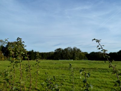 Sibbe-Tussen Heunsbergerweg en Sibbergrubbe