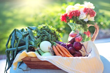 Beets food healthy