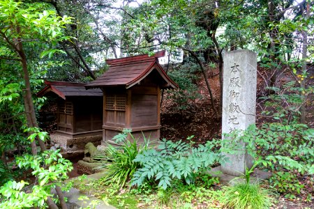 Shrines - Shibuya Hikawa-jinja - Shibuya, Tokyo, Japan - DSC05517