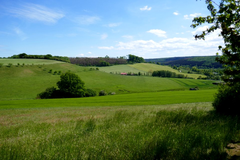 Siddinghausen - LSG Seitentäler von Alme und Afte - 2