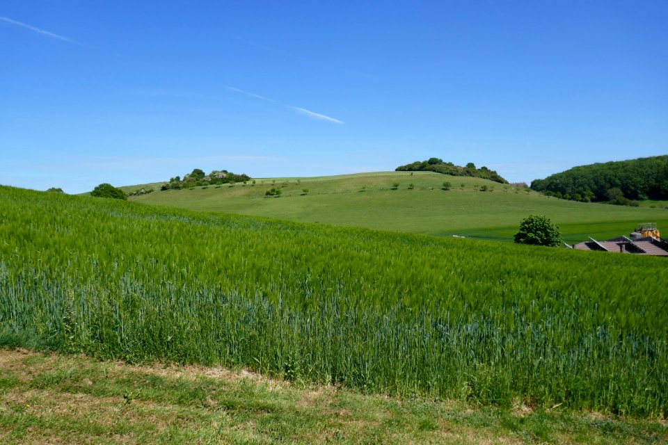 Siddinghausen - LSG Seitentäler von Alme und Afte - 3