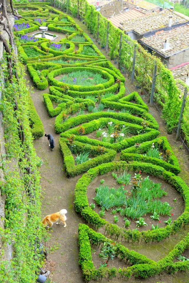 Side garden - Castello Ruspoli - Vignanello, Italy - DSC02755