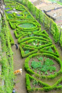 Side garden - Castello Ruspoli - Vignanello, Italy - DSC02755
