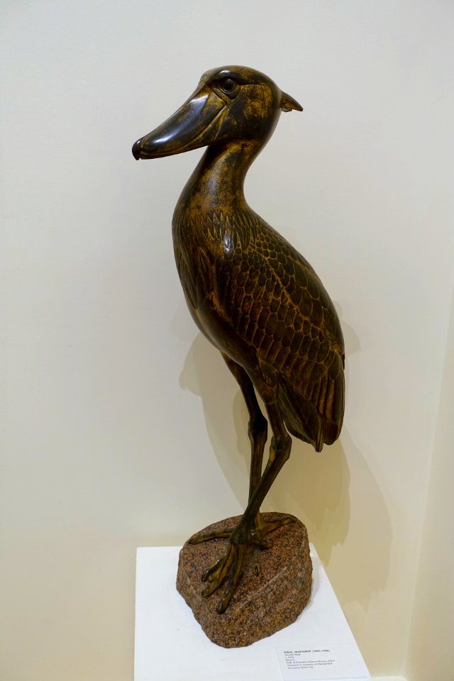 Shoebill Stork by Paul Manship, c. 1932, bronze - Cape Ann Museum - Gloucester, MA - DSC01460