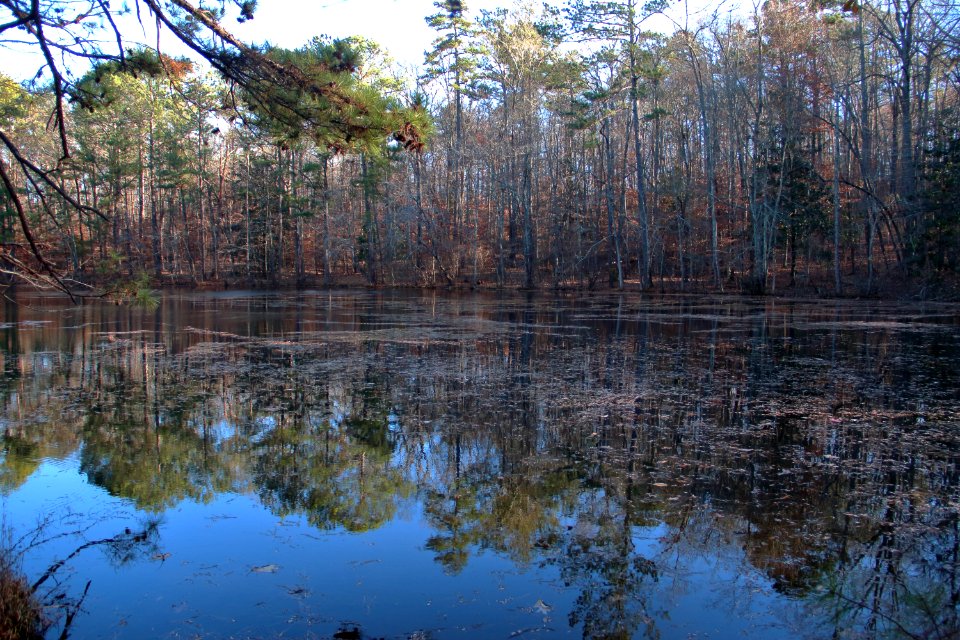 Sibley Pond, Sope Creek Trail, December 2019 02