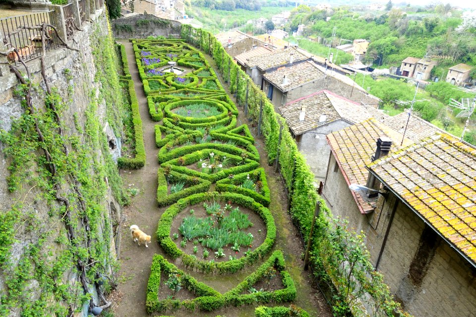 Side garden - Castello Ruspoli - Vignanello, Italy - DSC02748