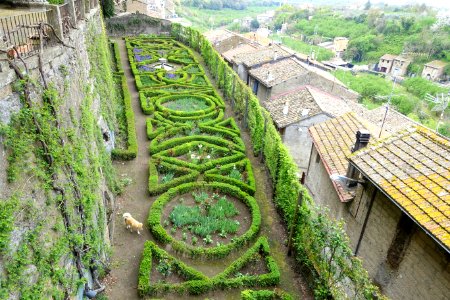 Side garden - Castello Ruspoli - Vignanello, Italy - DSC02748