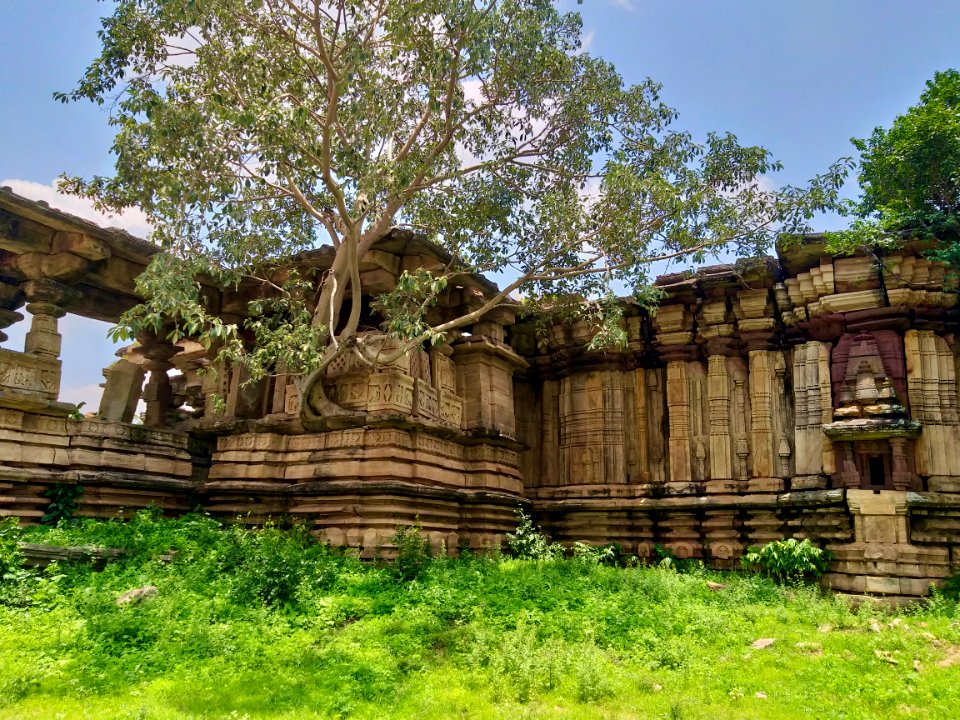 Shiva temple ruins, Khammampally Telangana - 07