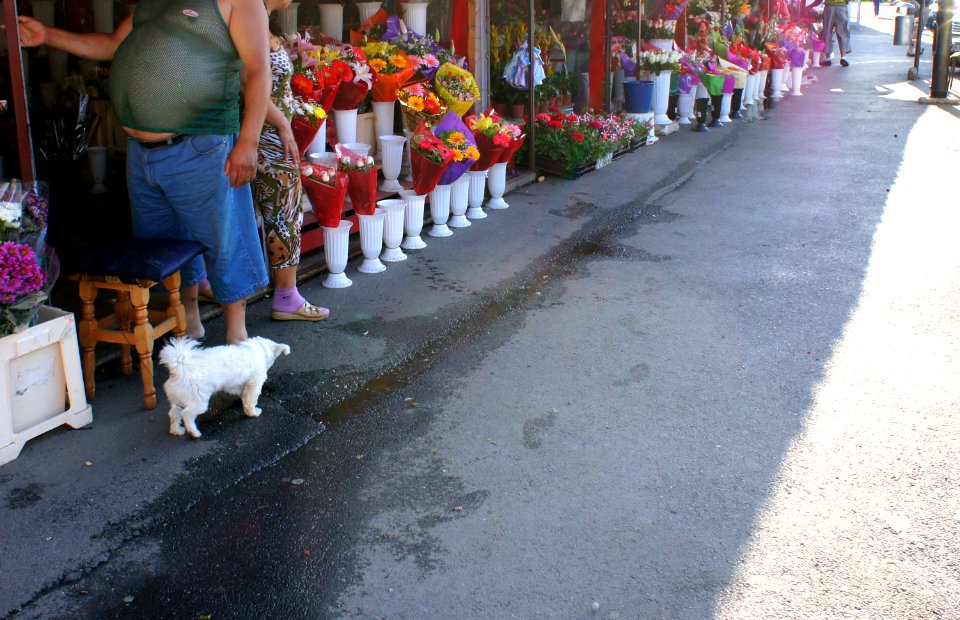 Sibiu Piaţa Cibin 2012 10