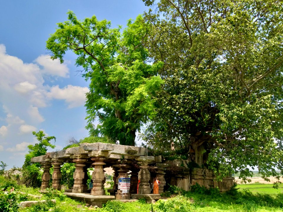 Shiva temple number 2, Khammampally Telangana - 14