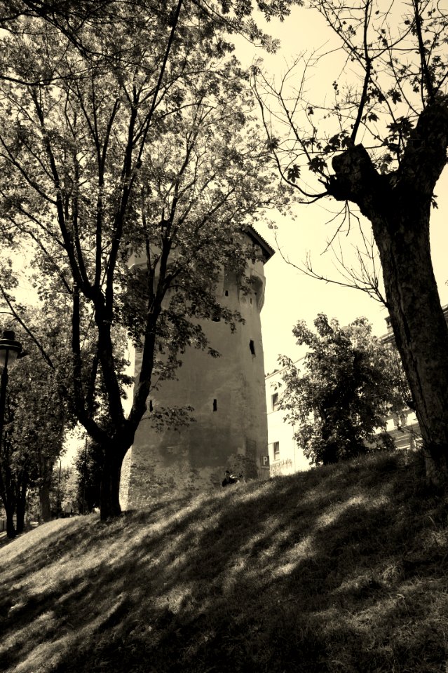 Sibiu Turnul Archebuzierilor 5