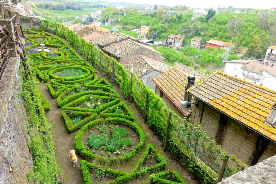 Side garden - Castello Ruspoli - Vignanello, Italy - DSC02753