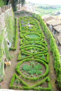 Side garden - Castello Ruspoli - Vignanello, Italy - DSC02747