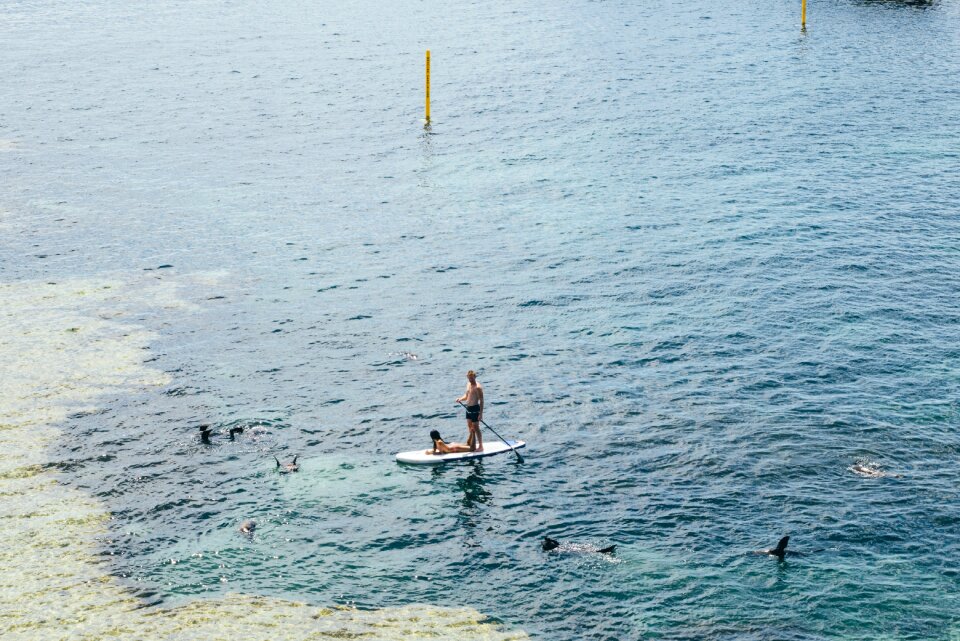 Stand up paddle board photo