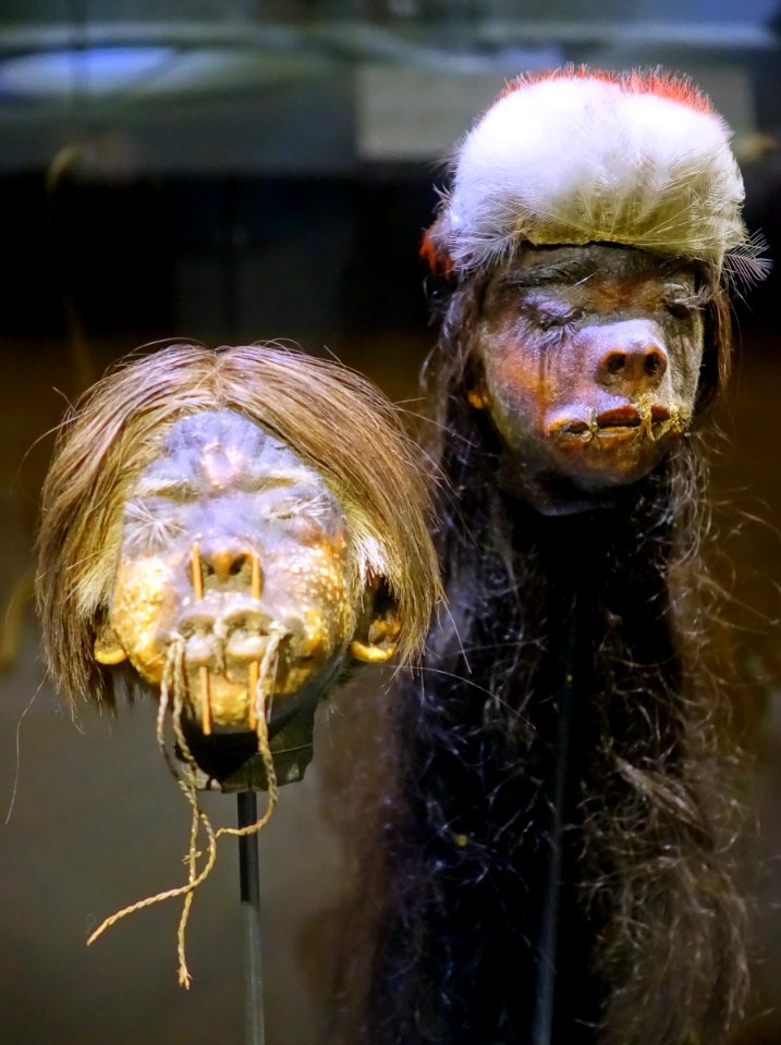 Shrunken heads, Jivaro culture, Equador or Peru - Cinquantenaire Museum - Brussels, Belgium - DSC08988