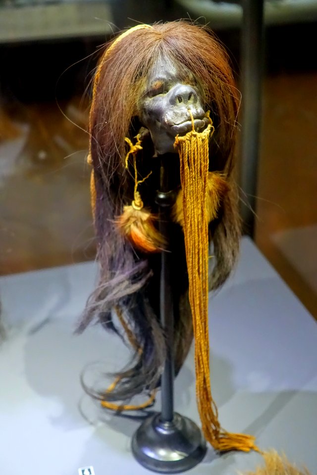 Shrunken head, Jivaro culture, Equador or Peru - Cinquantenaire Museum - Brussels, Belgium - DSC08992