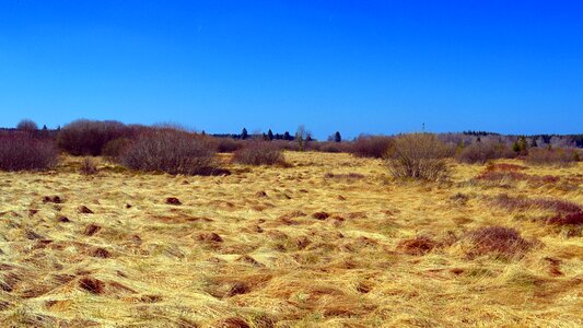 High venn nature conservation nature reserve photo