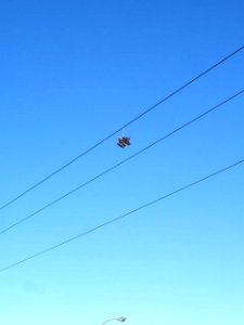 Shoe tossing in Vitoria-Gasteiz (2013) 1