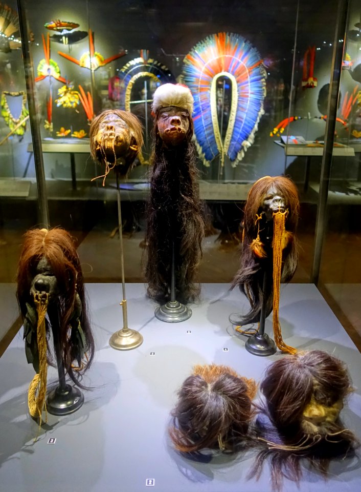 Shrunken heads, Jivaro culture, Equador or Peru - Cinquantenaire Museum - Brussels, Belgium - DSC08984