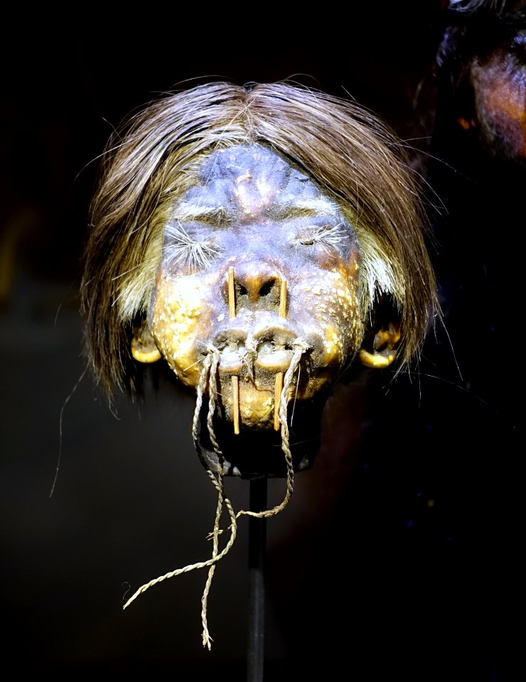 Shrunken head, Jivaro culture, Equador or Peru - Cinquantenaire Museum - Brussels, Belgium - DSC08985