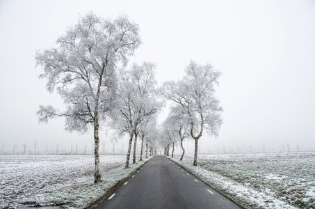 Road cold dark photo