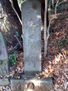 ShoumenkongouHiMatsudoSengenShrineBunka12
